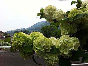 鹿児島県姶良市「岩剣城と平松館」跡の山々を望む